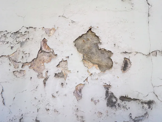 Mur dégradé par le salpêtre