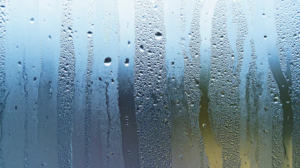 Condensation sur une fenêtre